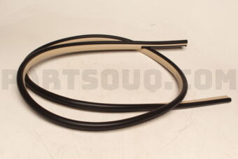 Toyota 6231160150E0 WEATHERSTRIP, FR