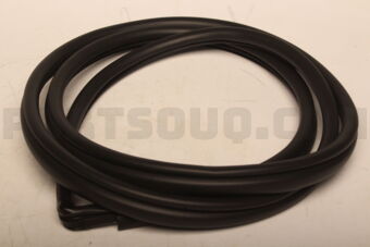Toyota 623120K111 WEATHERSTRIP FR DOO