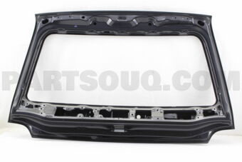 Toyota 670056B110 PANEL SUB-ASSY, BACK DOOR