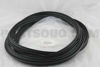 Toyota 6788160101 WEATHERSTRIP, BACK DOOR