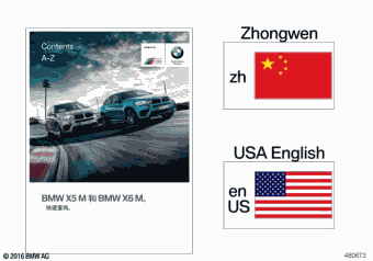 X5 M KT63 01.2018