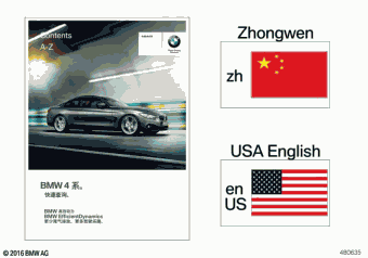 420iX 4S52 06.2017