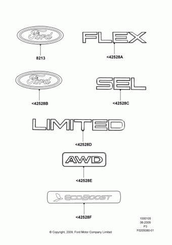 Flex (P3) America 2010