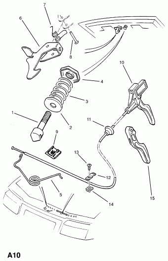 CALIBRA All T002627