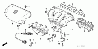ACCORD Europe 17S1A01