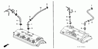 ACCORD Europe 17S1A01