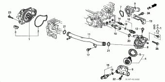 ACCORD Europe 17S1T01