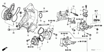 ACCORD Europe 17SDA01