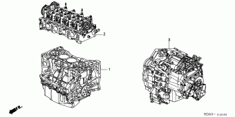 ACCORD Europe 17SDA01