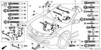 ACCORD Europe 17SEA01