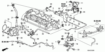 ACCORD Europe 17SEA701