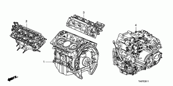 ACCORD Europe 17TA0801