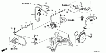 ACCORD Europe 17TL1901