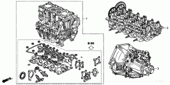 ACCORD Europe 17TL1901