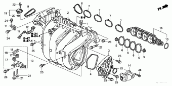 ACCORD Europe 17TL1A01