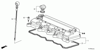 ACCORD Europe 17TL1A01