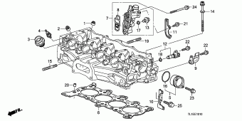 ACCORD Europe 17TL1A01