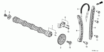 ACCORD Europe 17TL1A01