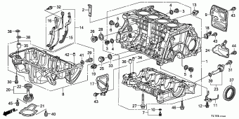 ACCORD Europe 17TL1A01