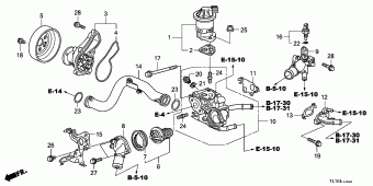 ACCORD Europe 17TL1A01