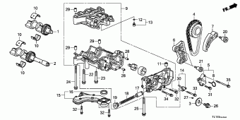 ACCORD Europe 17TL1A01