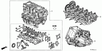 ACCORD Europe 17TL1A01