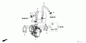 AMAZE General 18T4TG01