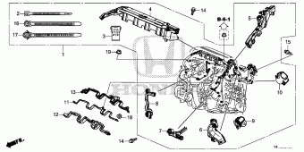 AMAZE General 18T4TG01