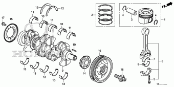 AMAZE General 18T4TG01