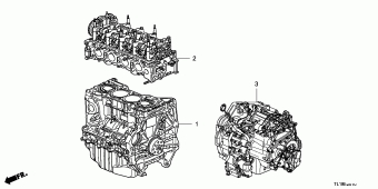 ACCORD General 18TL1901