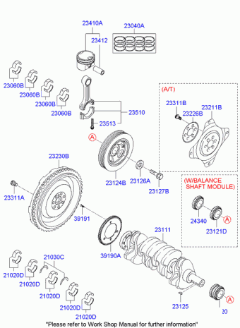 Sonata 17.08.2009 2010