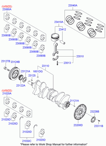 Sonata 23.04.2009 2010