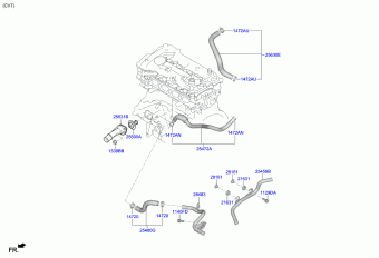 Elantra 07.06.2019 2020