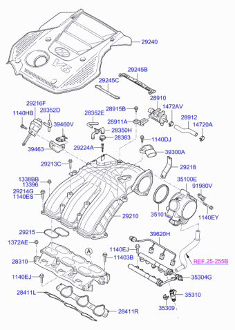 Sonata 12.05.2008 2009