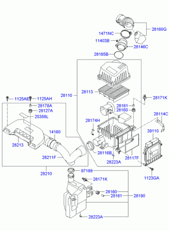 Elantra 25.08.2006 2007