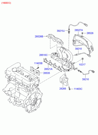 Elantra 18.10.2006 2007