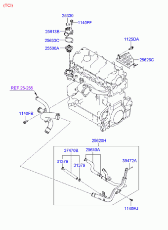 Sonata 15.10.2005 2006