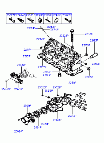 Elantra 09.12.1995 1996