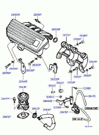 Elantra 09.12.1995 1996