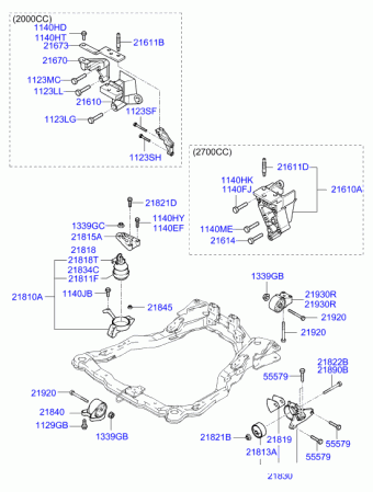 Tiburon 23.03.2004 2004