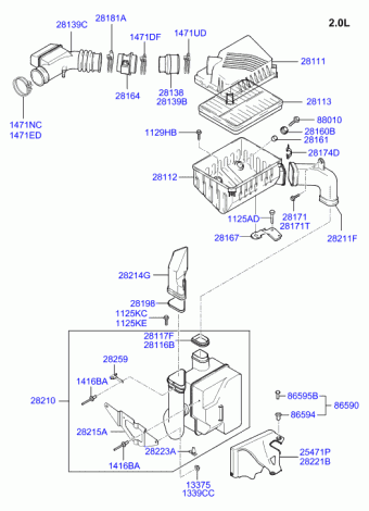 Tiburon 23.03.2004 2004