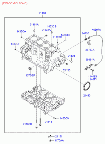 Sonata 29.10.2005 2006