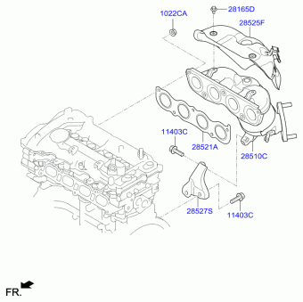 Elantra 23.01.2017 2017