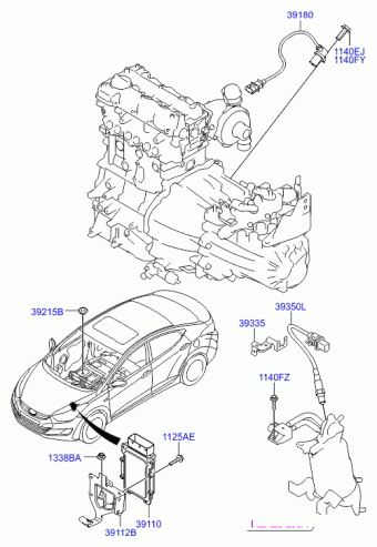 Elantra 26.10.2012 2012