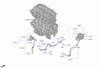 Elantra 12.11.2021 2022