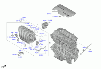 Elantra 12.11.2021 2022