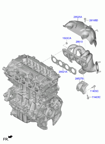 Elantra 12.11.2021 2022