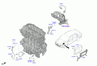 Elantra 12.11.2021 2022