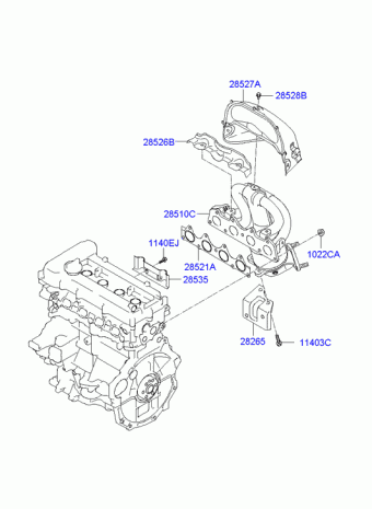 Elantra 06.08.2007 2007