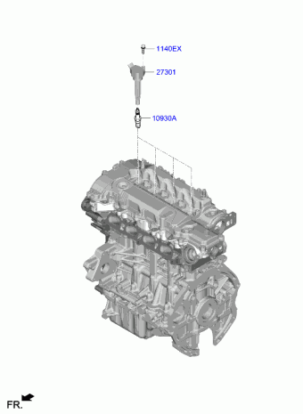 Elantra 11.11.2021 2021